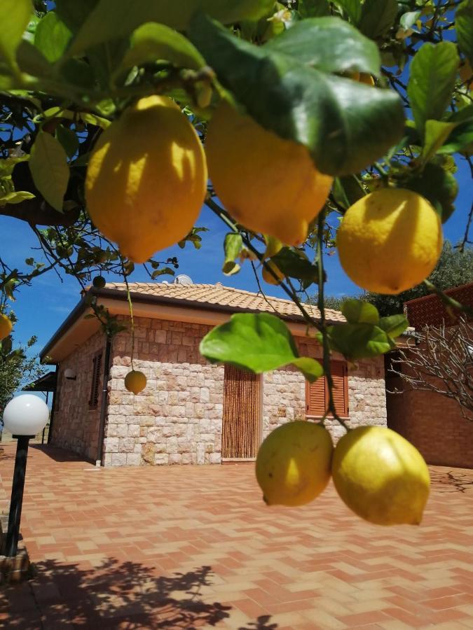 Villa Verde Cefalù Kültér fotó