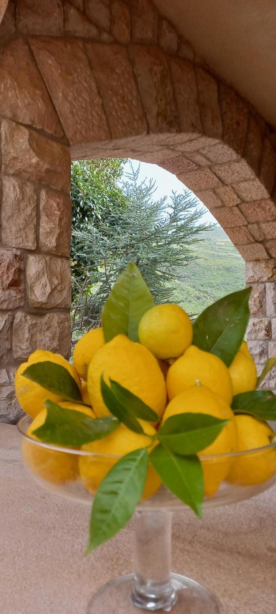 Villa Verde Cefalù Kültér fotó
